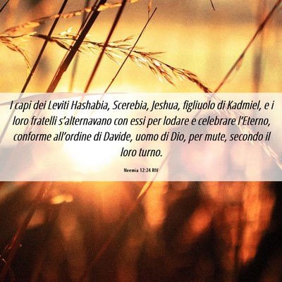 Picture 06 - Neemia 12:24 RIV - I capi dei Leviti Hashabia, Scerebia, Jeshua, - Bible Verse Picture