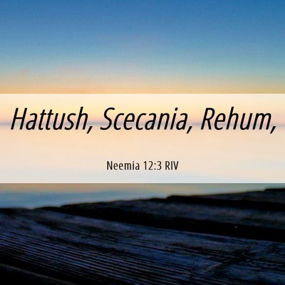 Picture 06 - Neemia 12:3 RIV - Hattush, Scecania, - Bible Verse Picture