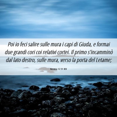 Picture 06 - Neemia 12:31 RIV - Poi io feci salire sulle mura i capi di Giuda, e - Bible Verse Picture