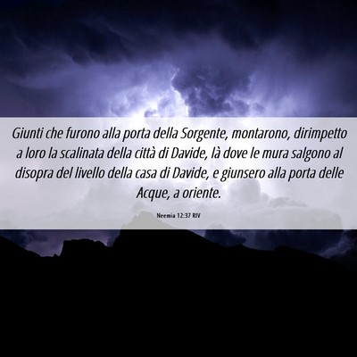 Picture 06 - Neemia 12:37 RIV - Giunti che furono alla porta della Sorgente, - Bible Verse Picture
