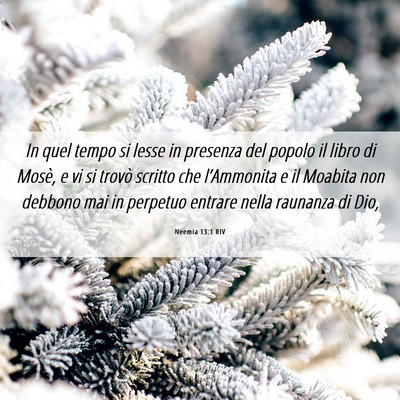 Picture 06 - Neemia 13:1 RIV - In quel tempo si lesse in presenza del popolo il - Bible Verse Picture
