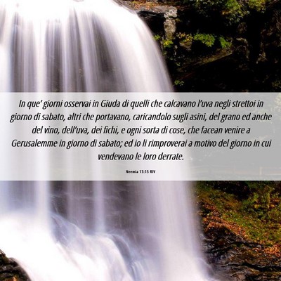 Picture 06 - Neemia 13:15 RIV - In que’ giorni osservai in Giuda di quelli che - Bible Verse Picture