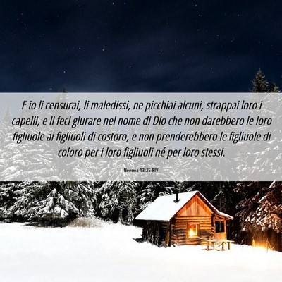Picture 06 - Neemia 13:25 RIV - E io li censurai, li maledissi, ne picchiai - Bible Verse Picture