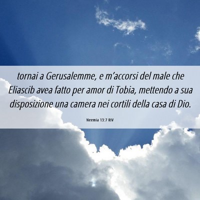 Picture 06 - Neemia 13:7 RIV - tornai a Gerusalemme, e m’accorsi del male che - Bible Verse Picture