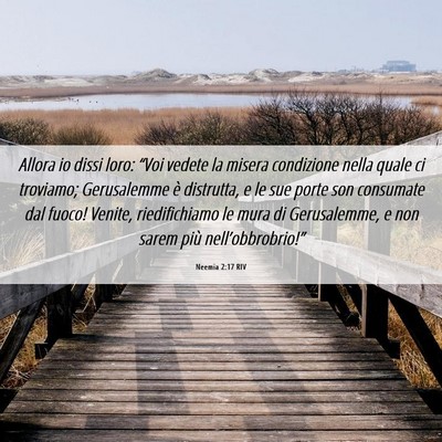 Picture 06 - Neemia 2:17 RIV - Allora io dissi loro: “Voi vedete la misera - Bible Verse Picture