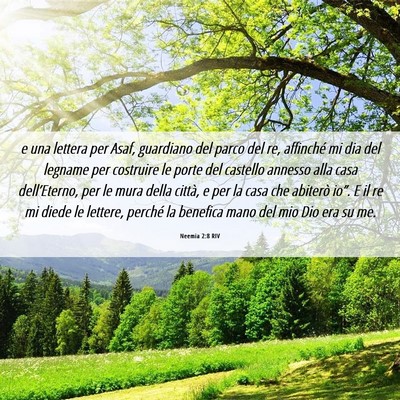 Picture 06 - Neemia 2:8 RIV - e una lettera per Asaf, guardiano del parco del - Bible Verse Picture