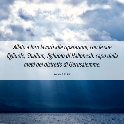 Picture 06 - Neemia 3:12 RIV - Allato a loro lavorò alle riparazioni, con le - Bible Verse Picture