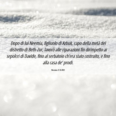 Picture 06 - Neemia 3:16 RIV - Dopo di lui Neemia, figliuolo di Azbuk, capo - Bible Verse Picture