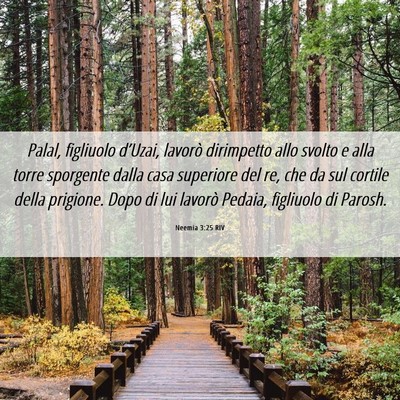 Picture 06 - Neemia 3:25 RIV - Palal, figliuolo d’Uzai, lavorò dirimpetto - Bible Verse Picture