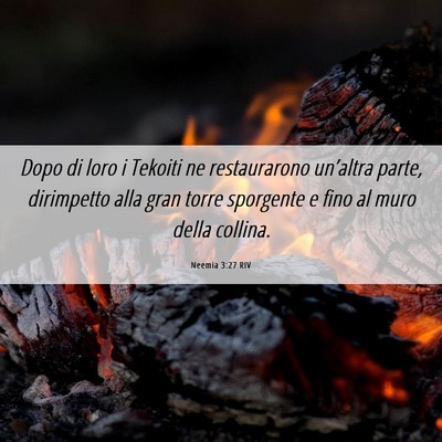 Picture 06 - Neemia 3:27 RIV - Dopo di loro i Tekoiti ne restaurarono un’altra - Bible Verse Picture