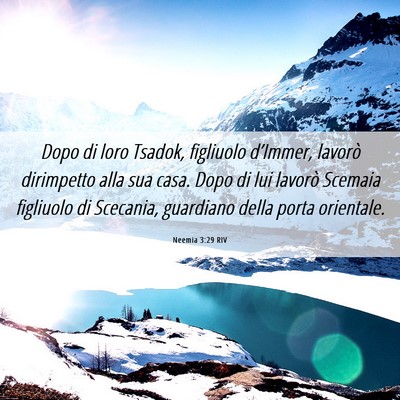 Picture 06 - Neemia 3:29 RIV - Dopo di loro Tsadok, figliuolo d’Immer, lavorò - Bible Verse Picture