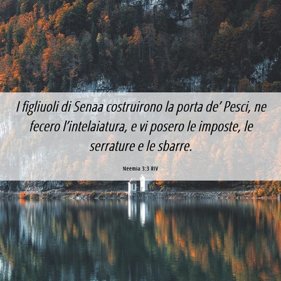 Picture 06 - Neemia 3:3 RIV - I figliuoli di Senaa costruirono la porta de’ - Bible Verse Picture