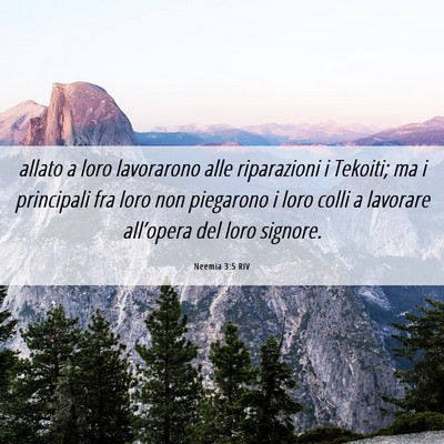 Picture 06 - Neemia 3:5 RIV - allato a loro lavorarono alle riparazioni i - Bible Verse Picture