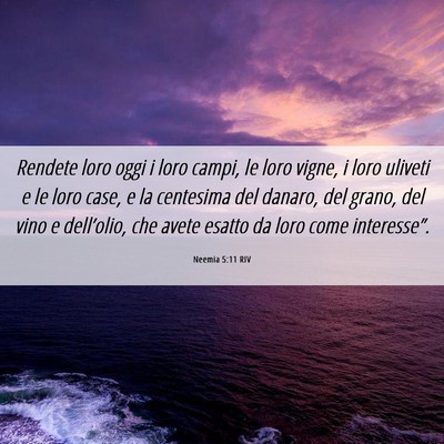 Picture 06 - Neemia 5:11 RIV - Rendete loro oggi i loro campi, le loro vigne, i - Bible Verse Picture