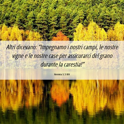 Picture 06 - Neemia 5:3 RIV - Altri dicevano: “Impegnamo i nostri campi, le - Bible Verse Picture