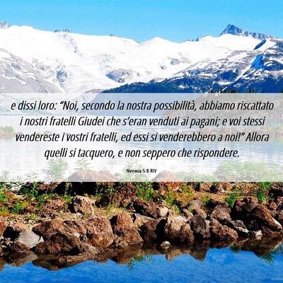 Picture 06 - Neemia 5:8 RIV - e dissi loro: “Noi, secondo la nostra - Bible Verse Picture