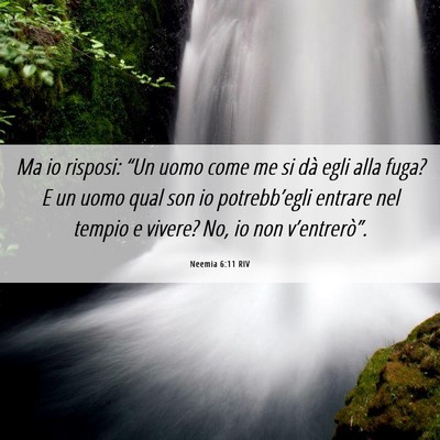 Picture 06 - Neemia 6:11 RIV - Ma io risposi: “Un uomo come me si dà egli - Bible Verse Picture