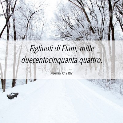 Picture 06 - Neemia 7:12 RIV - Figliuoli di Elam, mille duecentocinquanta - Bible Verse Picture