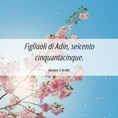 Picture 06 - Neemia 7:20 RIV - Figliuoli di Adin, seicento - Bible Verse Picture