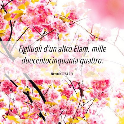 Picture 06 - Neemia 7:34 RIV - Figliuoli d’un altro Elam, mille - Bible Verse Picture