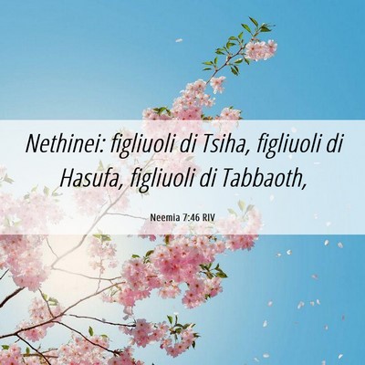Picture 06 - Neemia 7:46 RIV - Nethinei: figliuoli di Tsiha, figliuoli di - Bible Verse Picture