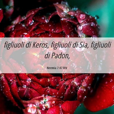 Picture 06 - Neemia 7:47 RIV - figliuoli di Keros, figliuoli di Sia, figliuoli - Bible Verse Picture