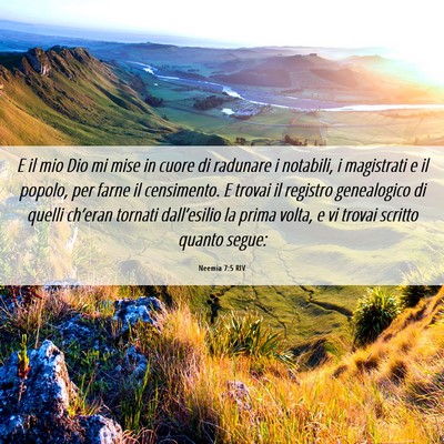 Picture 06 - Neemia 7:5 RIV - E il mio Dio mi mise in cuore di radunare i - Bible Verse Picture
