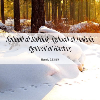 Picture 06 - Neemia 7:53 RIV - figliuoli di Bakbuk, figliuoli di Hakufa, - Bible Verse Picture