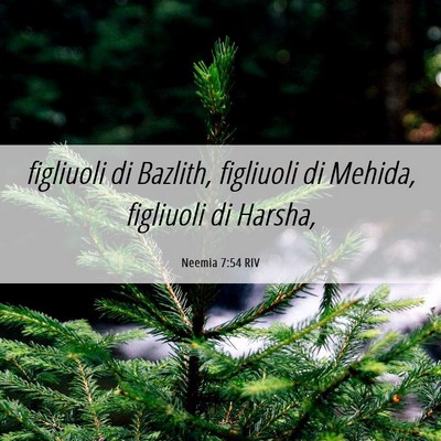 Picture 06 - Neemia 7:54 RIV - figliuoli di Bazlith, figliuoli di Mehida, - Bible Verse Picture