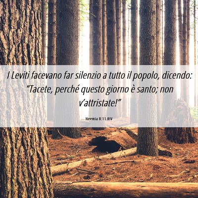 Picture 06 - Neemia 8:11 RIV - I Leviti facevano far silenzio a tutto il popolo, - Bible Verse Picture