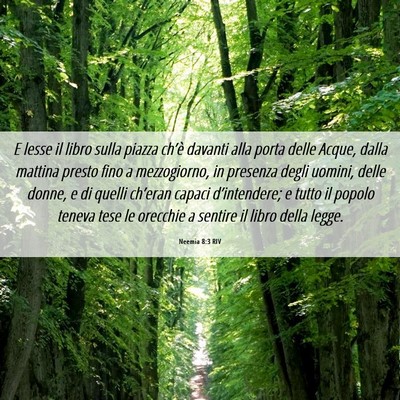 Picture 06 - Neemia 8:3 RIV - E lesse il libro sulla piazza ch’è davanti - Bible Verse Picture