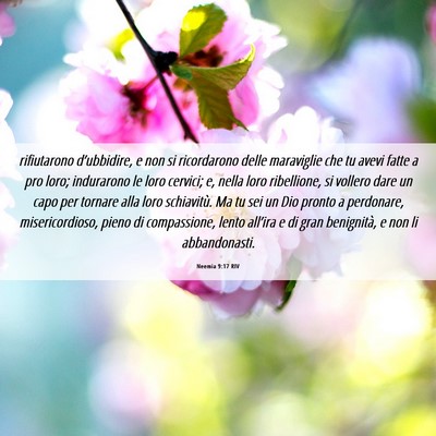 Picture 06 - Neemia 9:17 RIV - rifiutarono d’ubbidire, e non si ricordarono - Bible Verse Picture