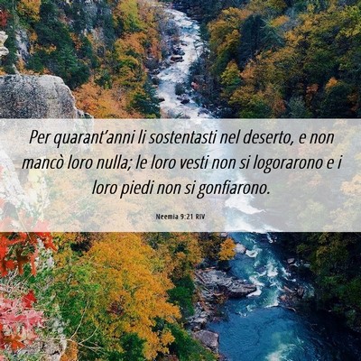 Picture 06 - Neemia 9:21 RIV - Per quarant’anni li sostentasti nel deserto, e - Bible Verse Picture