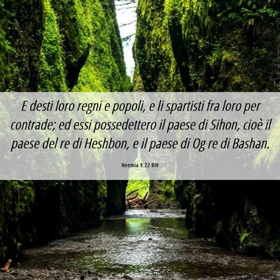 Picture 06 - Neemia 9:22 RIV - E desti loro regni e popoli, e li spartisti fra - Bible Verse Picture
