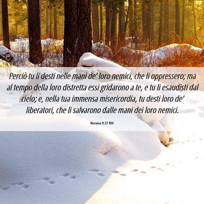 Picture 06 - Neemia 9:27 RIV - Perciò tu li desti nelle mani de’ loro nemici, - Bible Verse Picture