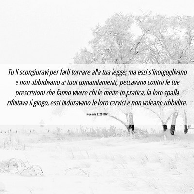 Picture 06 - Neemia 9:29 RIV - Tu li scongiuravi per farli tornare alla tua - Bible Verse Picture