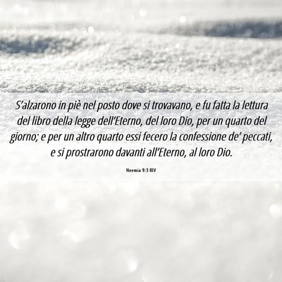 Picture 06 - Neemia 9:3 RIV - S’alzarono in piè nel posto dove si trovavano, - Bible Verse Picture