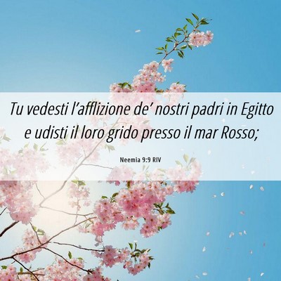 Picture 06 - Neemia 9:9 RIV - Tu vedesti l’afflizione de’ nostri padri in - Bible Verse Picture