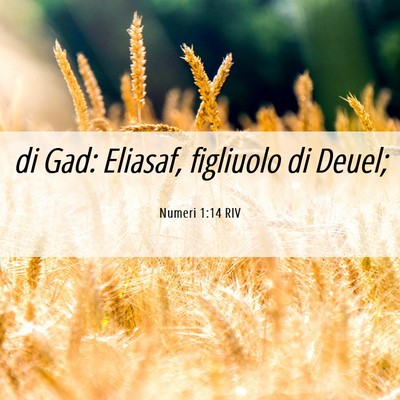 Picture 06 - Numeri 1:14 RIV - di Gad: Eliasaf, figliuolo di - Bible Verse Picture