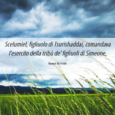Picture 06 - Numeri 10:19 RIV - Scelumiel, figliuolo di Tsurishaddai, comandava - Bible Verse Picture