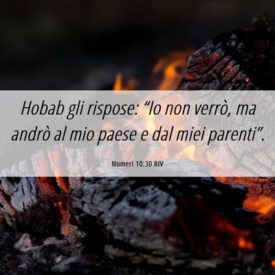 Picture 06 - Numeri 10:30 RIV - Hobab gli rispose: “Io non verrò, ma andrò al - Bible Verse Picture