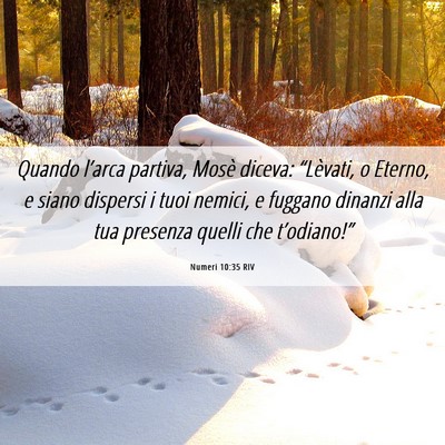 Picture 06 - Numeri 10:35 RIV - Quando l’arca partiva, Mosè diceva: - Bible Verse Picture
