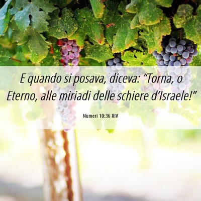 Picture 06 - Numeri 10:36 RIV - E quando si posava, diceva: “Torna, o Eterno, - Bible Verse Picture