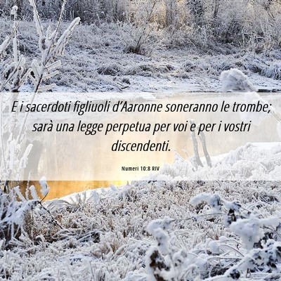 Picture 06 - Numeri 10:8 RIV - E i sacerdoti figliuoli d’Aaronne soneranno le - Bible Verse Picture