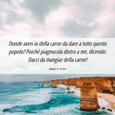 Picture 06 - Numeri 11:13 RIV - Donde avrei io della carne da dare a tutto questo - Bible Verse Picture