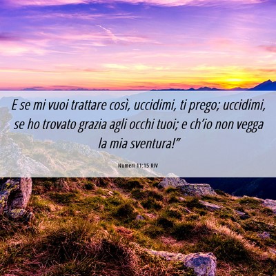 Picture 06 - Numeri 11:15 RIV - E se mi vuoi trattare così, uccidimi, ti prego; - Bible Verse Picture