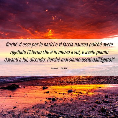 Picture 06 - Numeri 11:20 RIV - finché vi esca per le narici e vi faccia nausea - Bible Verse Picture