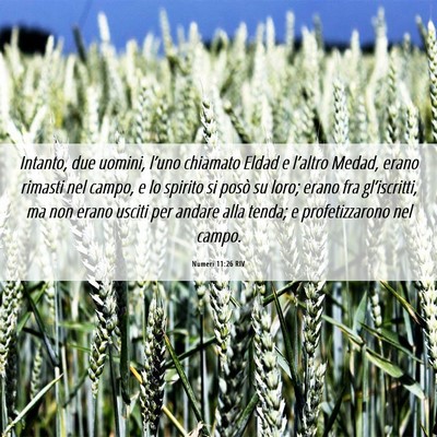 Picture 06 - Numeri 11:26 RIV - Intanto, due uomini, l’uno chiamato Eldad e - Bible Verse Picture