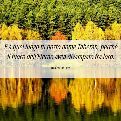 Picture 06 - Numeri 11:3 RIV - E a quel luogo fu posto nome Taberah, perché il - Bible Verse Picture