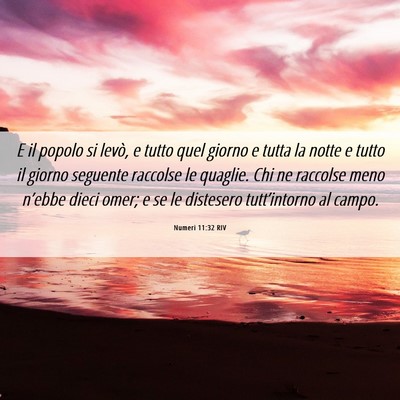 Picture 06 - Numeri 11:32 RIV - E il popolo si levò, e tutto quel giorno e tutta - Bible Verse Picture